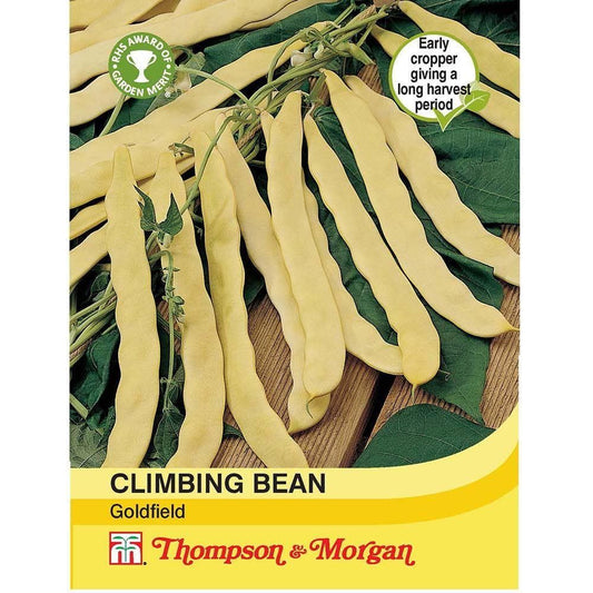 Thompson & Morgan Climbing Bean Goldfield 30 Seed