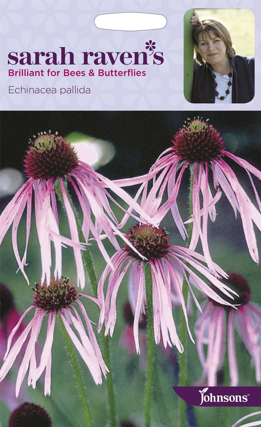 Johnsons Sarah Raven's Echinacea Pallida 50 Seeds