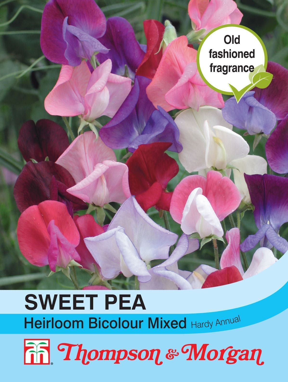 Thompson & Morgan Sweet Pea Heirloom Bicolour Mix 20 Seed