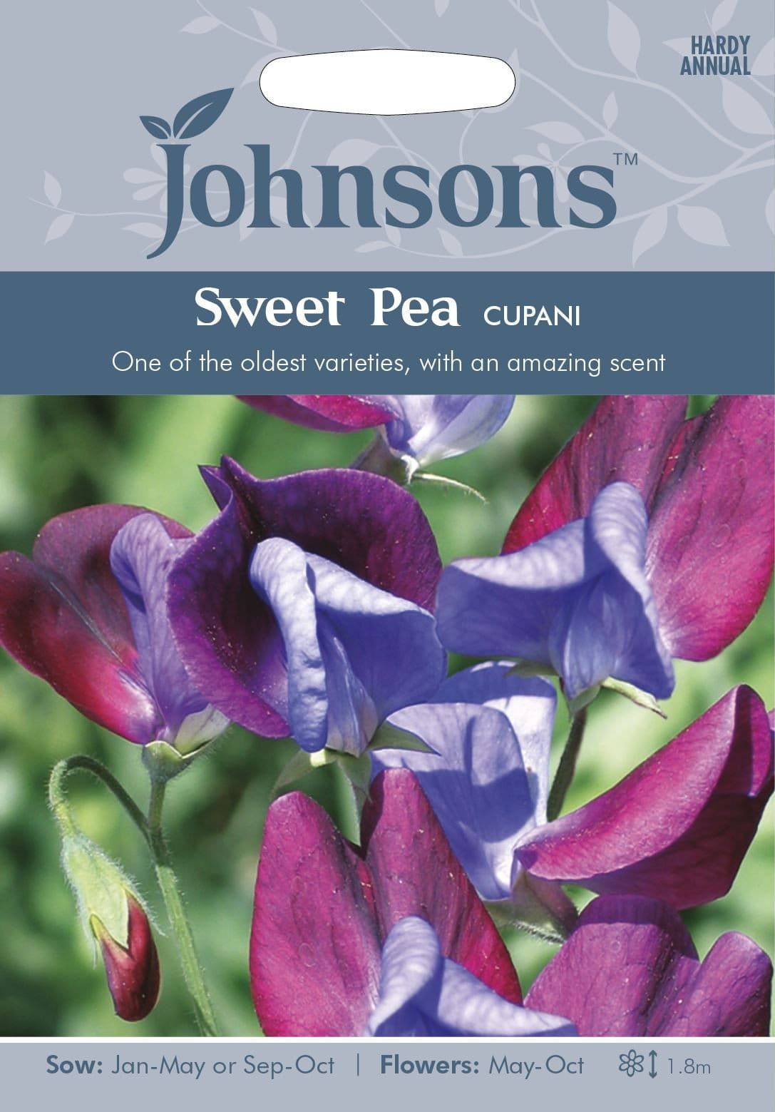 Johnsons Sweet Pea Cupani 20 Seeds