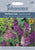 Johnsons Verbascum Phoeniceum Mixed 500 Seeds
