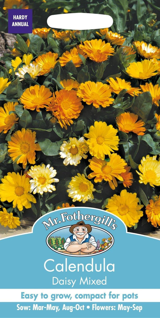 Mr Fothergills Calendula Daisy Mixed 60 Seeds