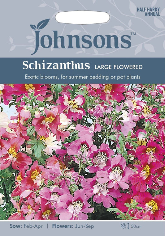 Johnsons Schizanthus Largeed Mixed 250 Seeds