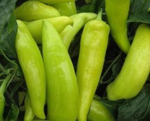 Pepper (Chilli) Hungarian Hot Wax Seeds