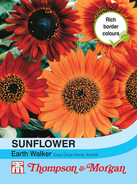 Thompson & Morgan Sunflower Earth Walker 30 Seed