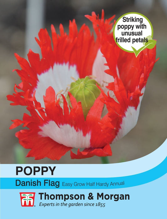 Thompson & Morgan - Flower - Poppy - Danish Flag - 300 Seeds