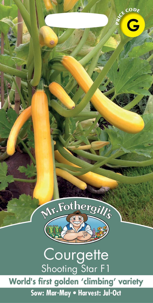 Mr Fothergills - Vegetable - Courgette - Shooting Star F1 - 10 Seeds