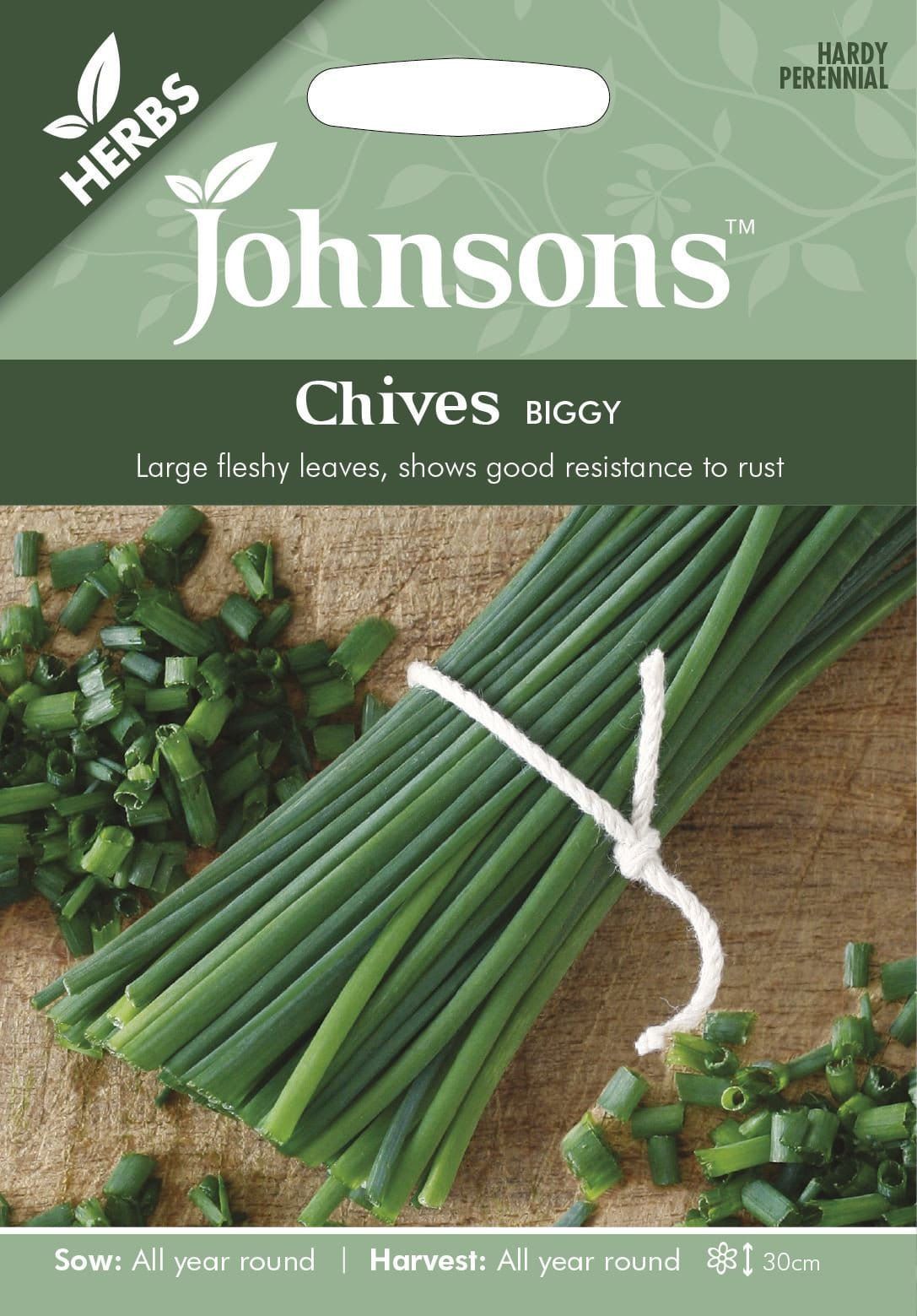Johnsons Herb Chives Biggy 500 Seeds