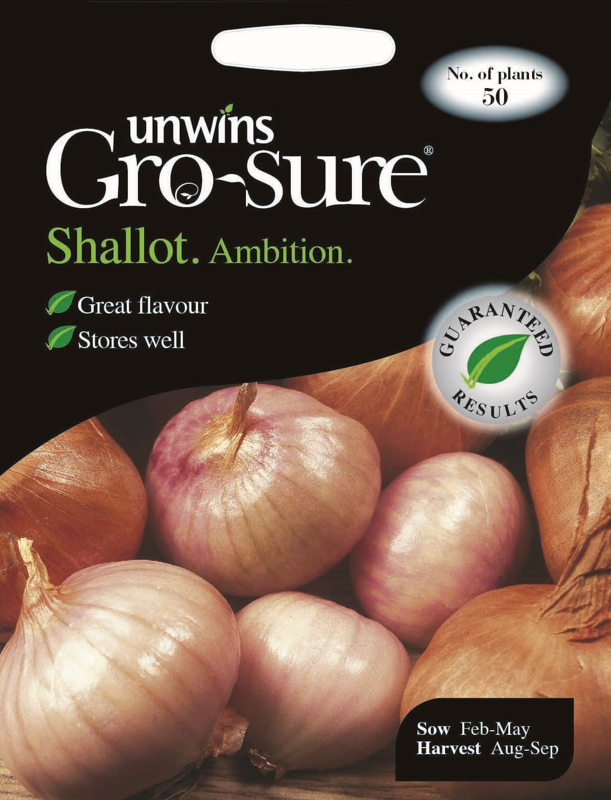 Unwins Shallot Ambition F1 50 Seeds