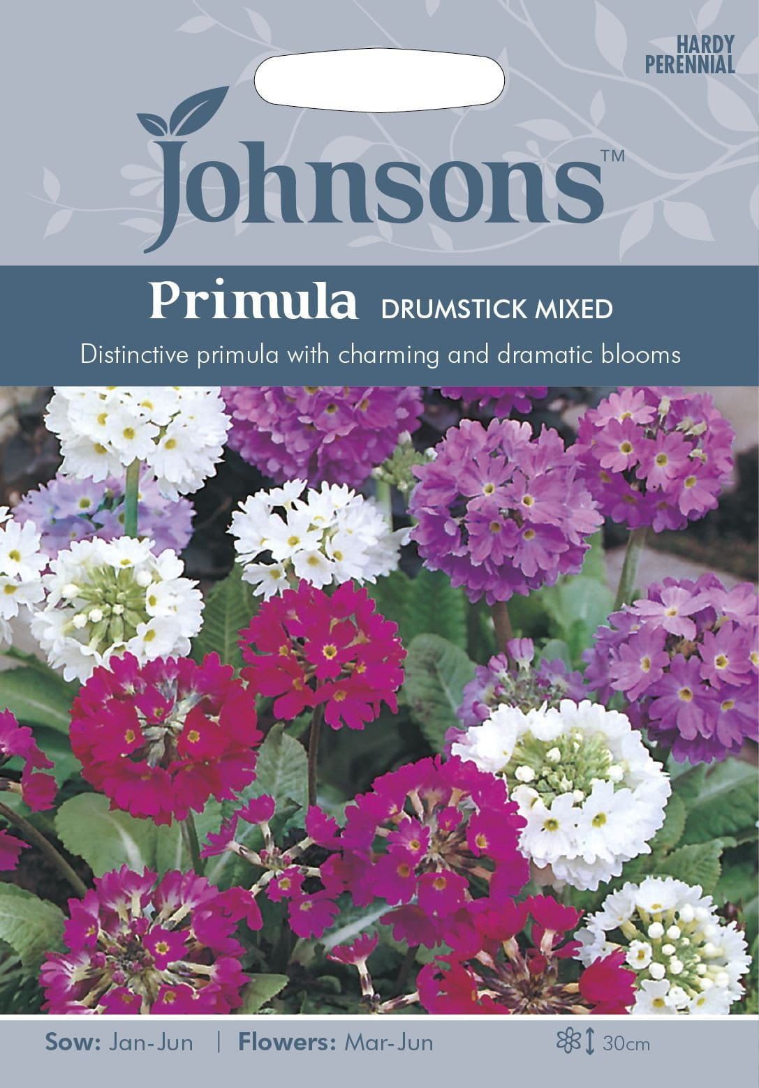 Johnsons Primula Drumstick Mixed 250 Seeds