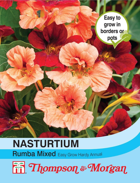 Thompson & Morgan Flowers Nasturtium Rumba Mixed 30 Seed