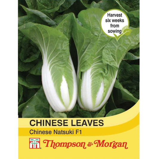 Thompson & Morgan Chinese Leaves Natsuki F1 Hybrid 30 Seed