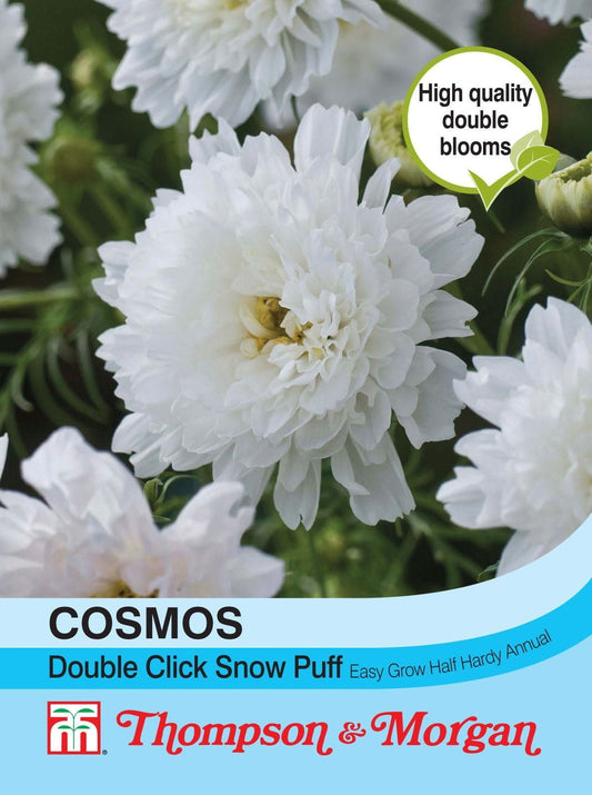 Thompson & Morgan Cosmos Double Click Snow Puff 50 Seed