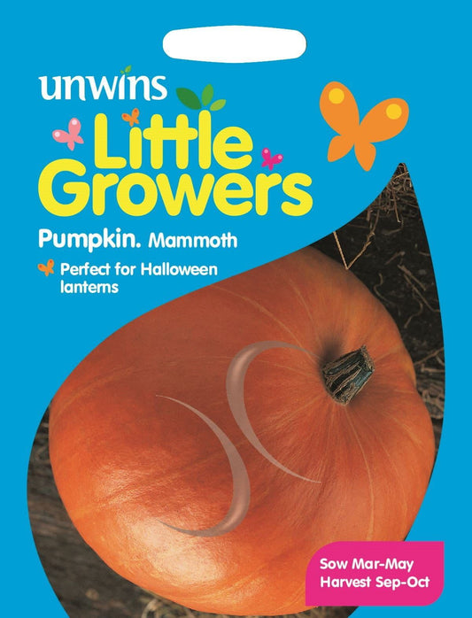 Unwins Little Growers Pumpkin Mammoth 18 Seeds