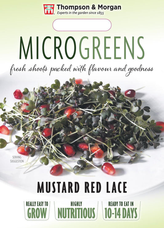 Thompson & Morgan Vegetable Microgreens Mustard Red Lace  - 300 Seeds