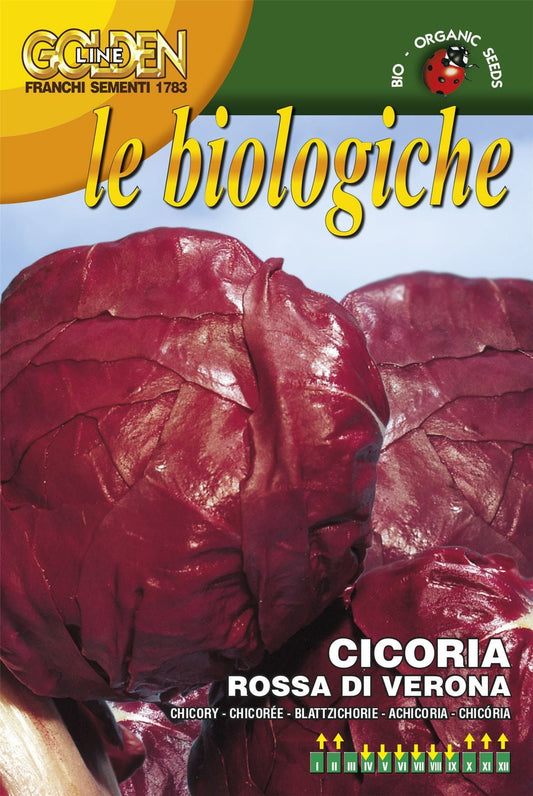 Franchi Organic BIOB40/13 Chicory Rossa Di Verona Seeds