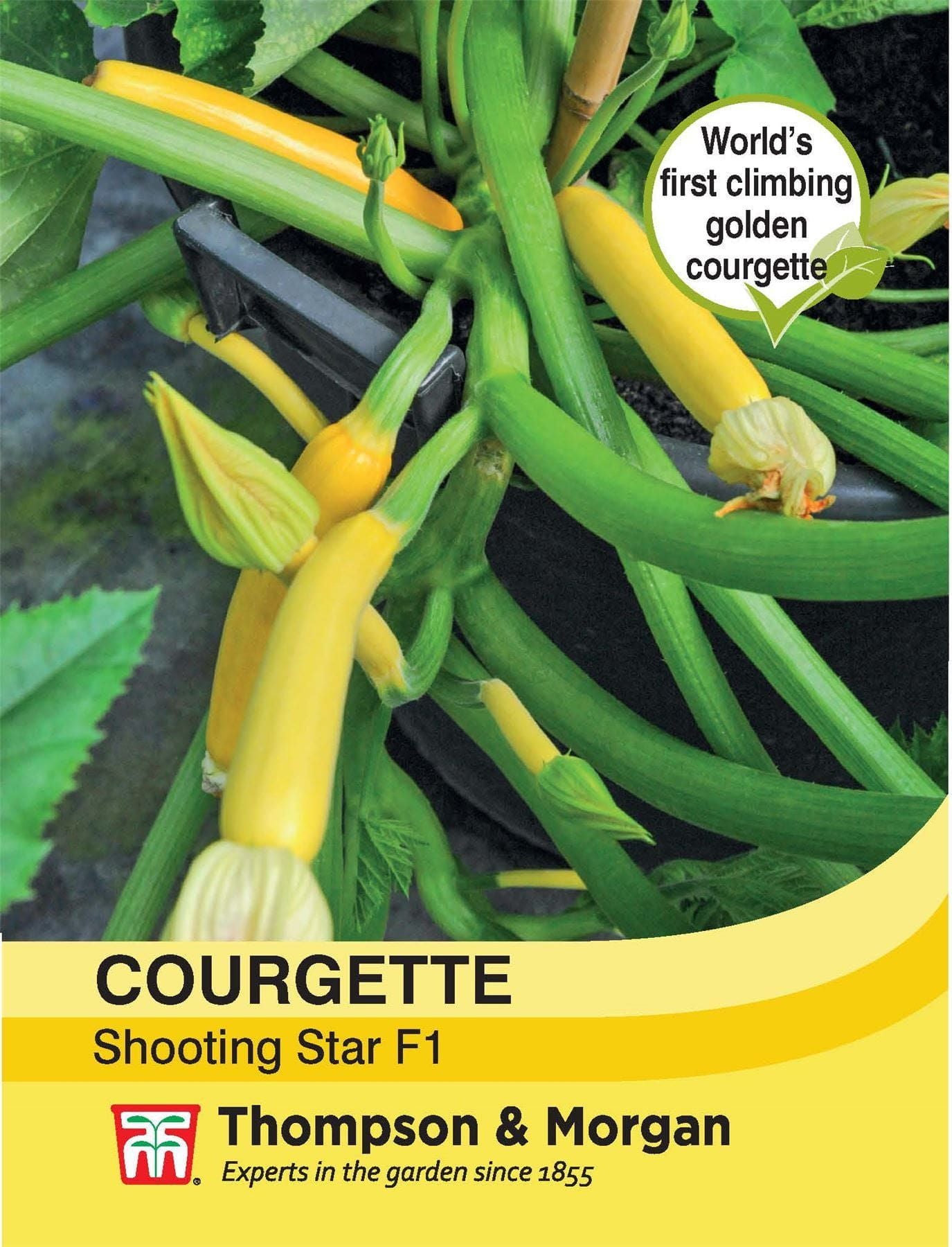 Thompson & Morgan - Vegetable - Courgette - Shooting Star - 8 Seeds