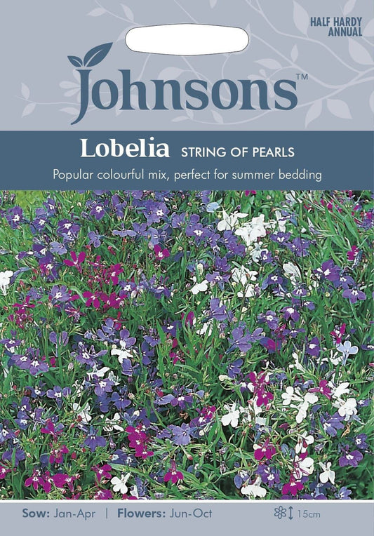 Johnsons Lobelia String of Pearls 2500 Seeds