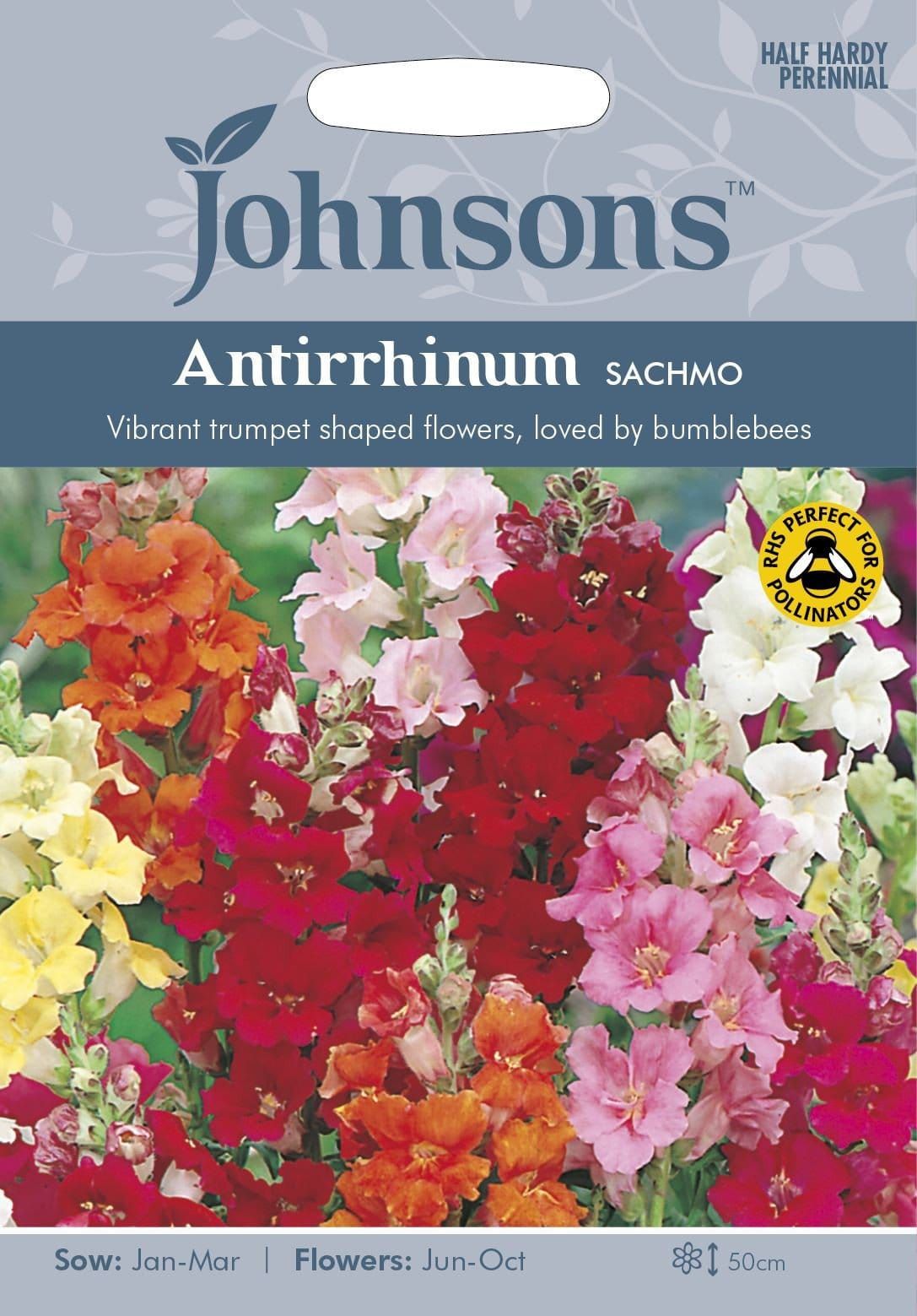 Johnsons Antirrhinum Sachmo 750 Seeds