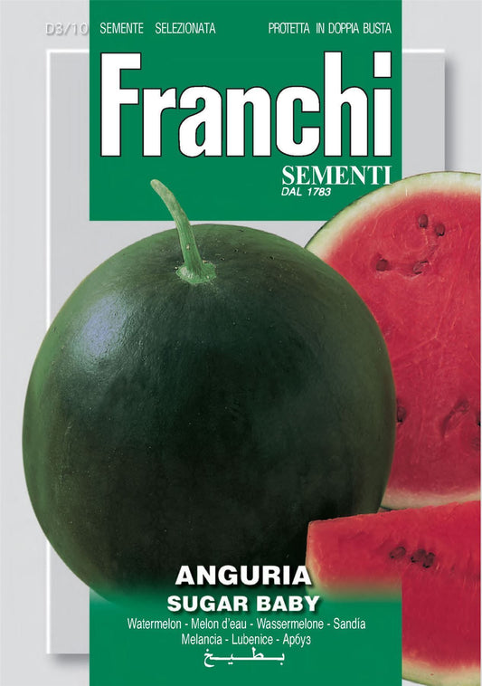 Franchi Seeds of Italy - DBO 3/10 - Watermelon - Sugar Baby - Seeds