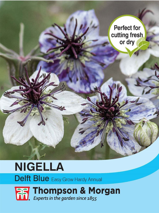 Thompson & Morgan - Flower - Nigella - Delft Blue - 500 Seeds