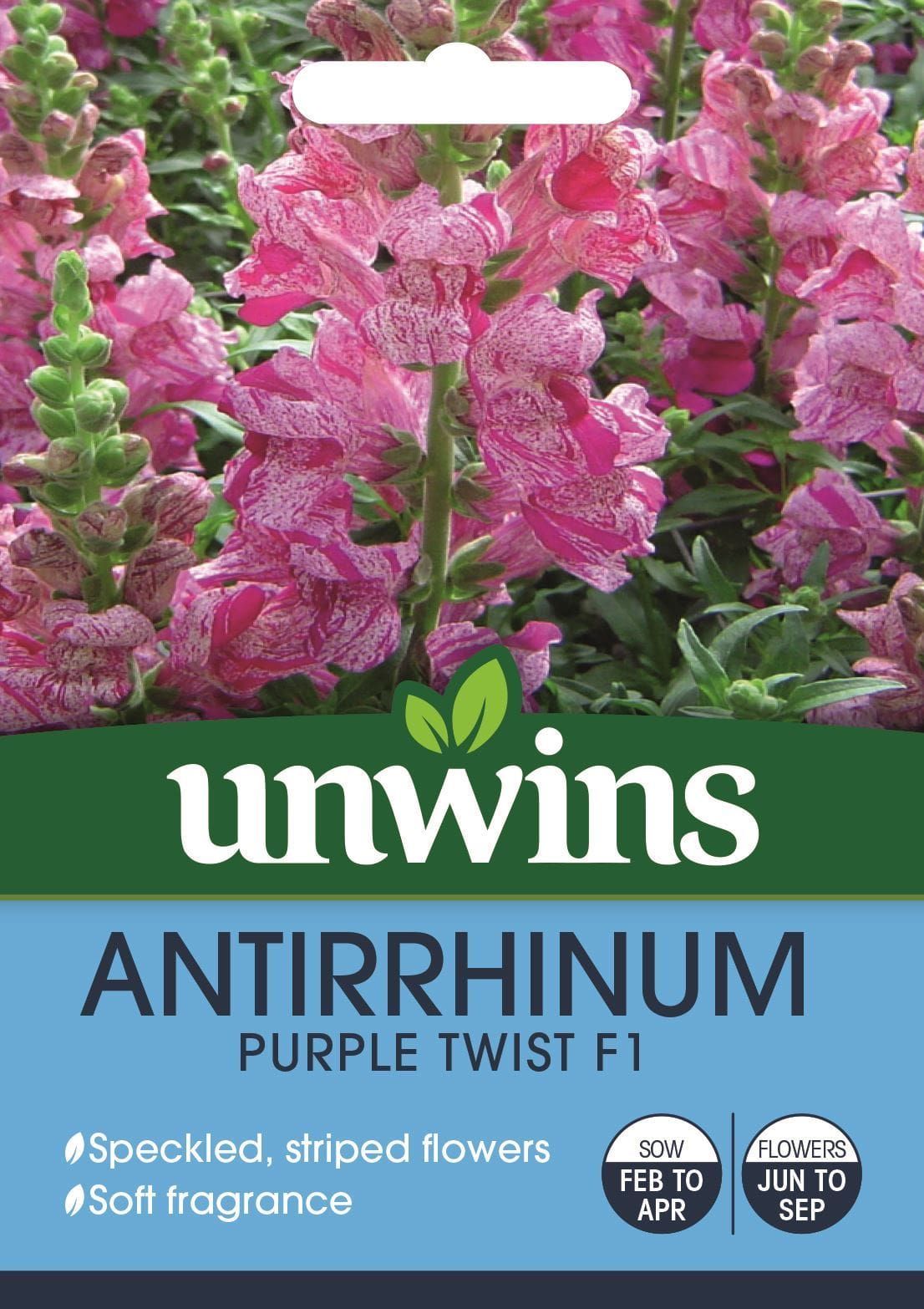 Unwins Antirrhinum Purple Twist F1 30 Seeds