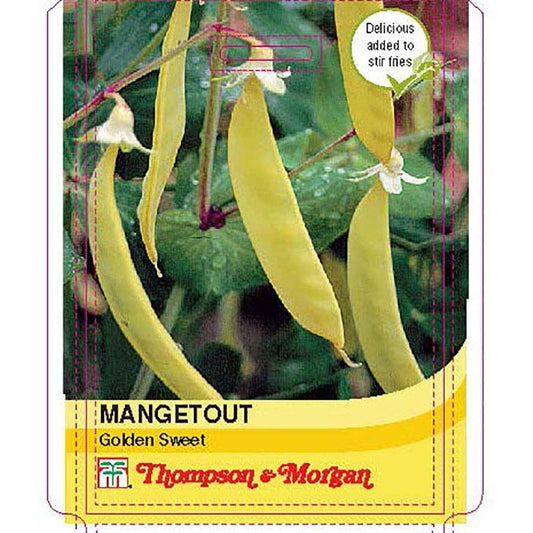 Thompson & Morgan Mangetout Golden Sweet 75 Seed