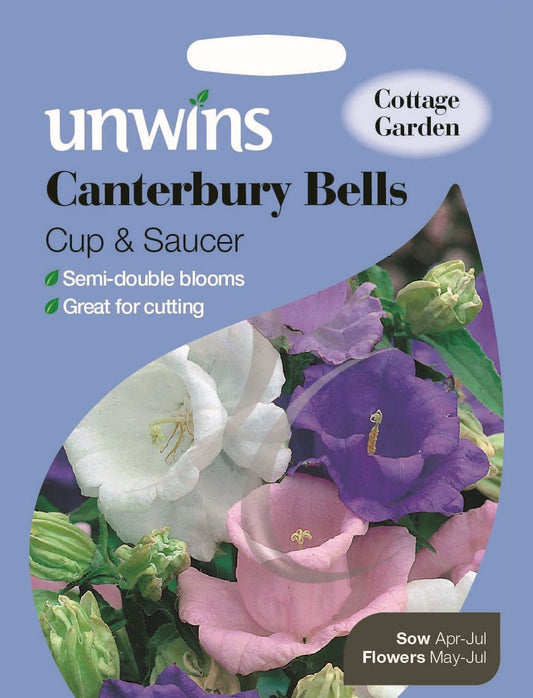 Unwins Canterbury Bells Cup & Saucer 800 Seeds