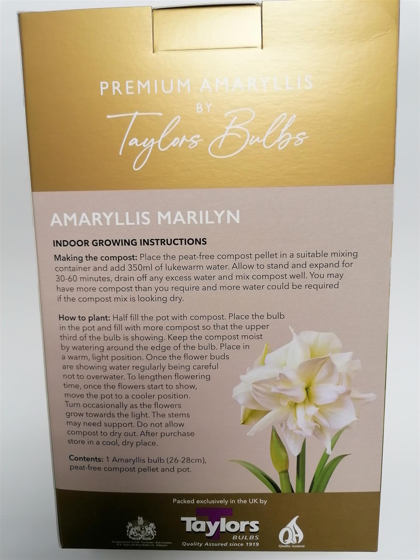 Amaryllis Bulb Marilyn White Flower Gift Pack