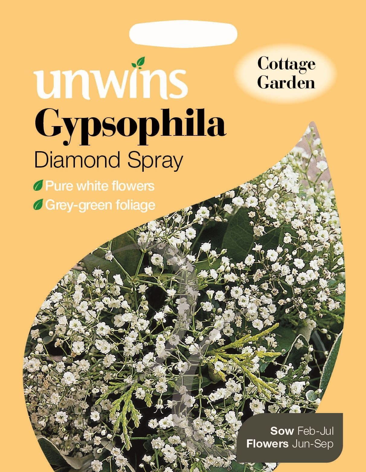 Unwins Gypsophila Diamond Spray 100 Seeds