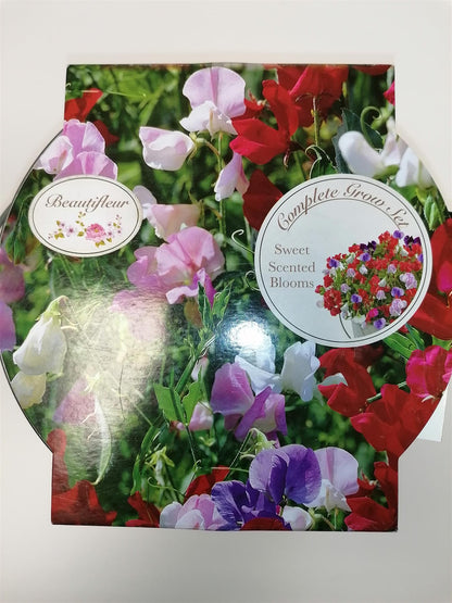 Beautifleur - Sweet Pea Metal planter Seeds