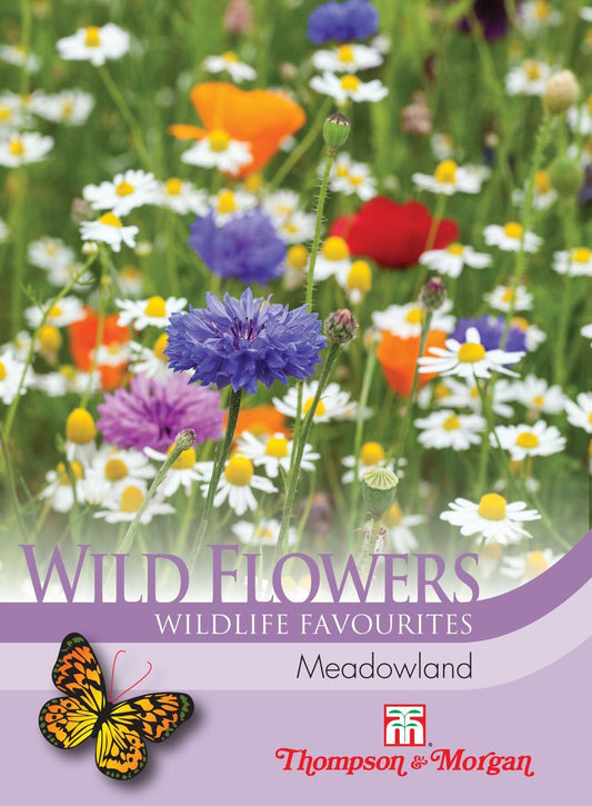 Thompson & Morgan Wild Flower Meadowland 1g Seed