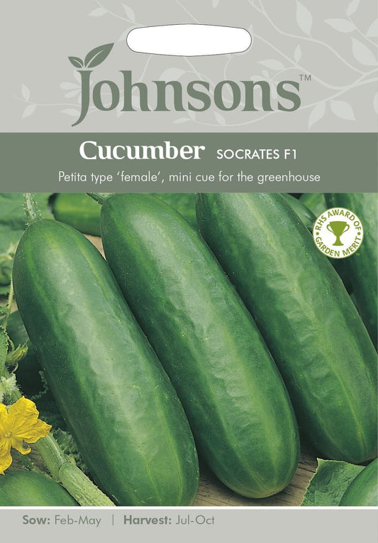 Johnsons Cucumber Socrates F1 5 Seeds