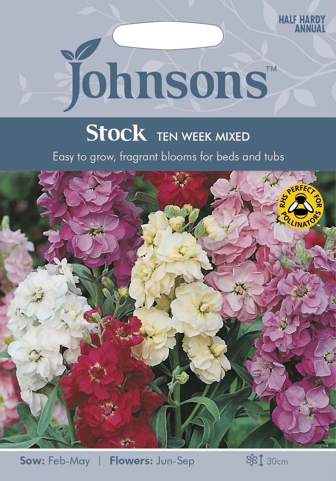 Johnsons Stock Ten Week Mixed 250 Seeds