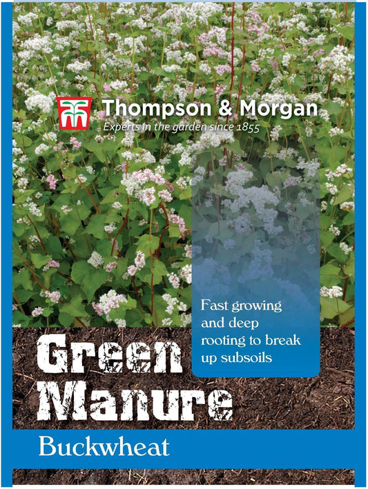 Thompson & Morgan Green Manure Green Manure Buckwheat 75 Gram