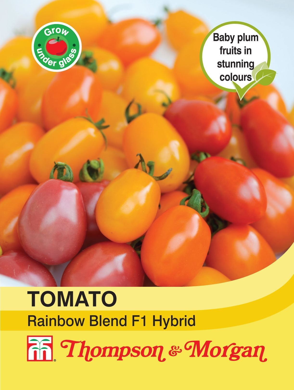 Thompson & Morgan Vegetables Tomato Rainbow Blend F1 Hybrid 5 Seed