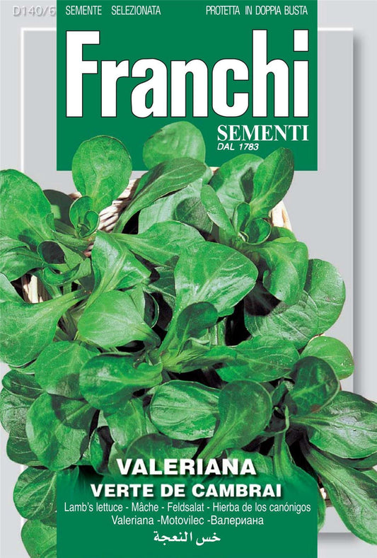 Franchi Seeds of Italy Corn Salad Verte De Cambrai Seeds