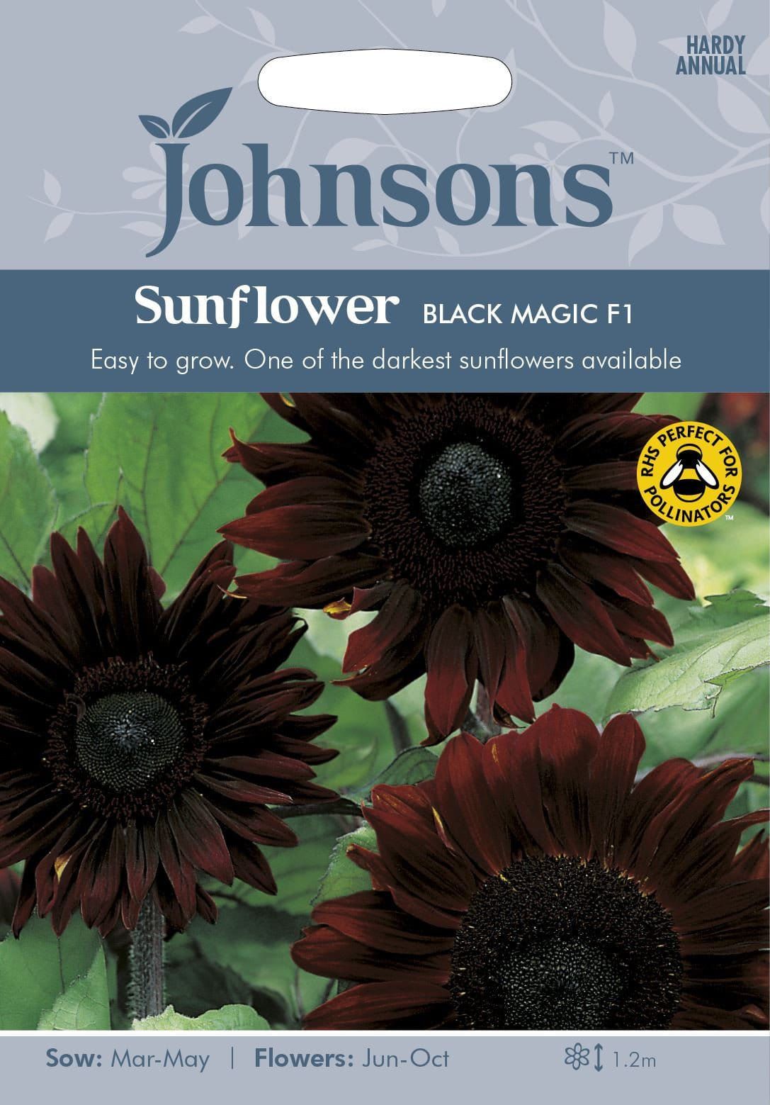 Johnsons Sunflower Black Magic F1 20 Seeds