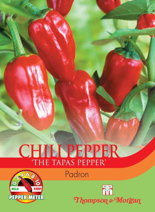 Thompson & Morgan Pepper Chilli Padron 10 Seed