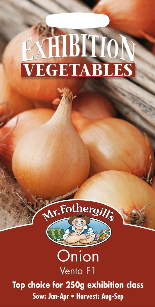 Mr Fothergills Onion Vento F1 100 Seeds