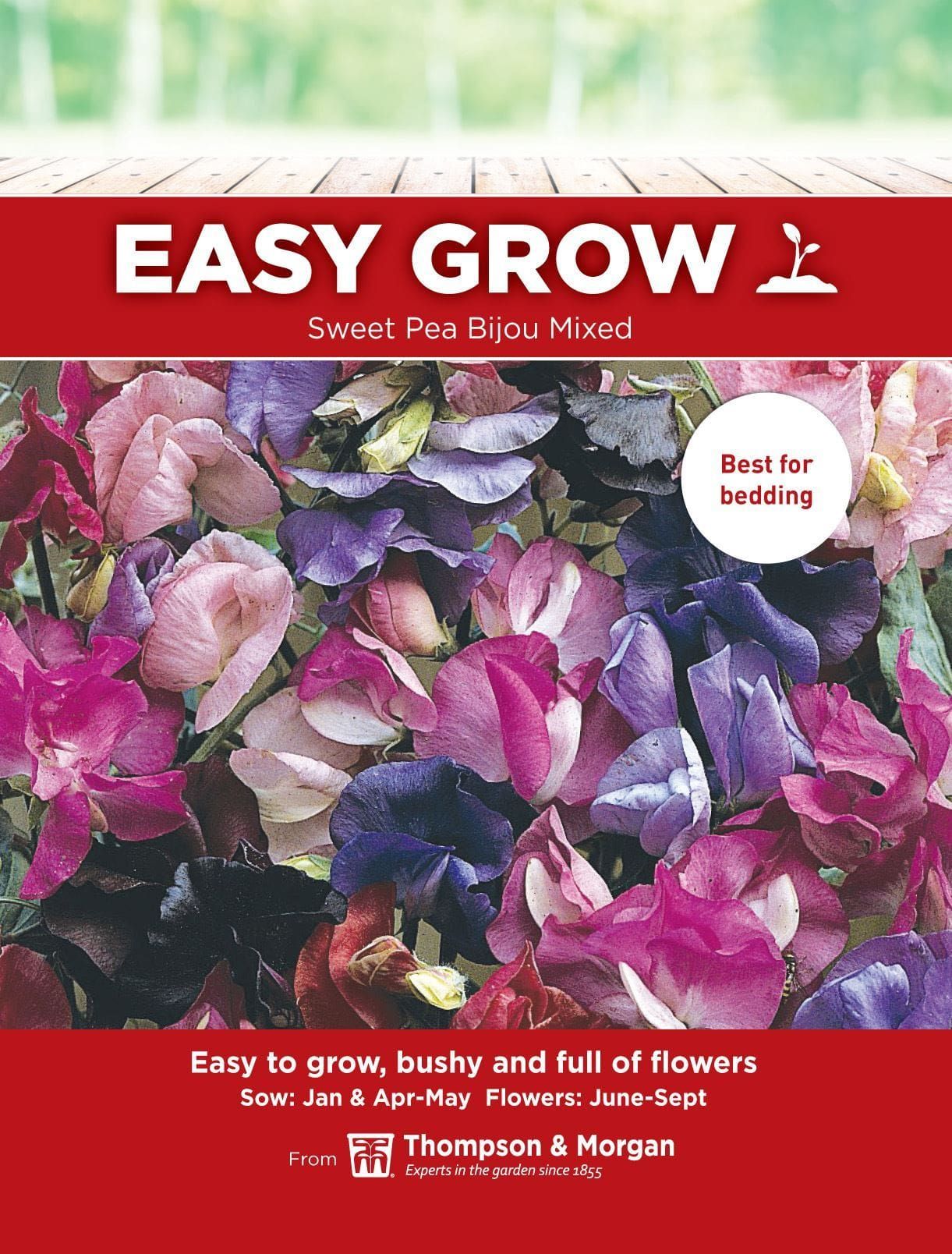 Thompson & Morgan - EasyGrow - Flower - Sweet Pea - Bijou Mixed - 20 Seeds