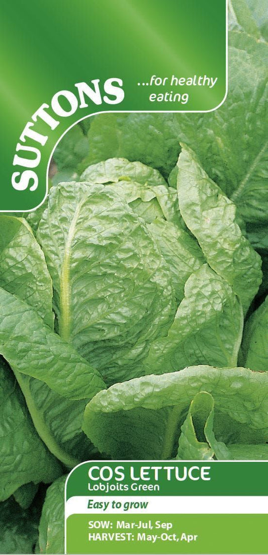 Sutton Seeds - Lettuce Seeds - Lobjoits Green