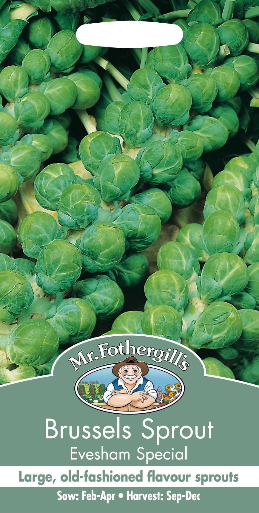 Mr Fothergills Brussels Sprout Evesham Special 500 Seeds