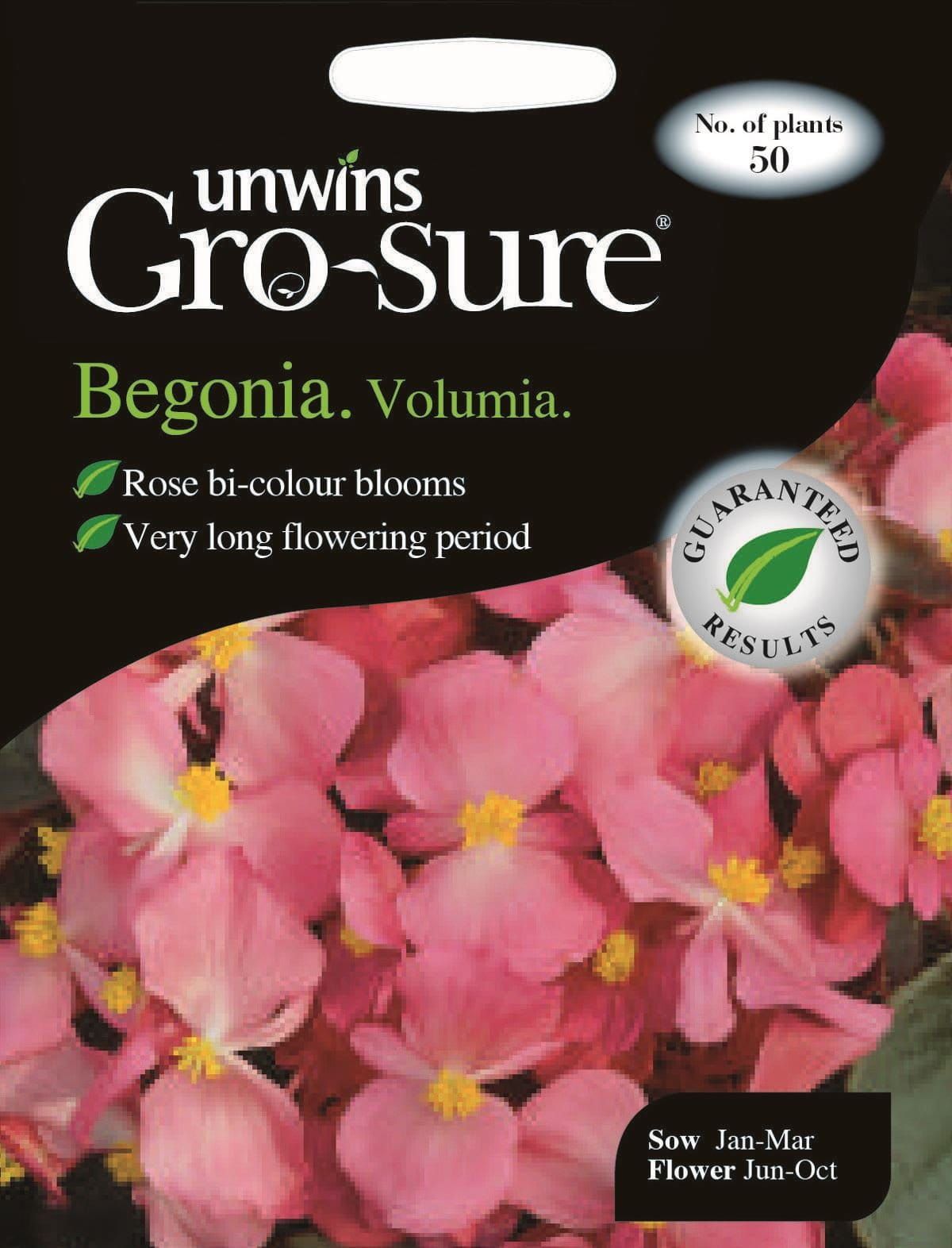 Unwins Begonia Volumia F1 - 50 Seeds