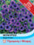 Thompson & Morgan Monopsis Regal Purple 125 Seed