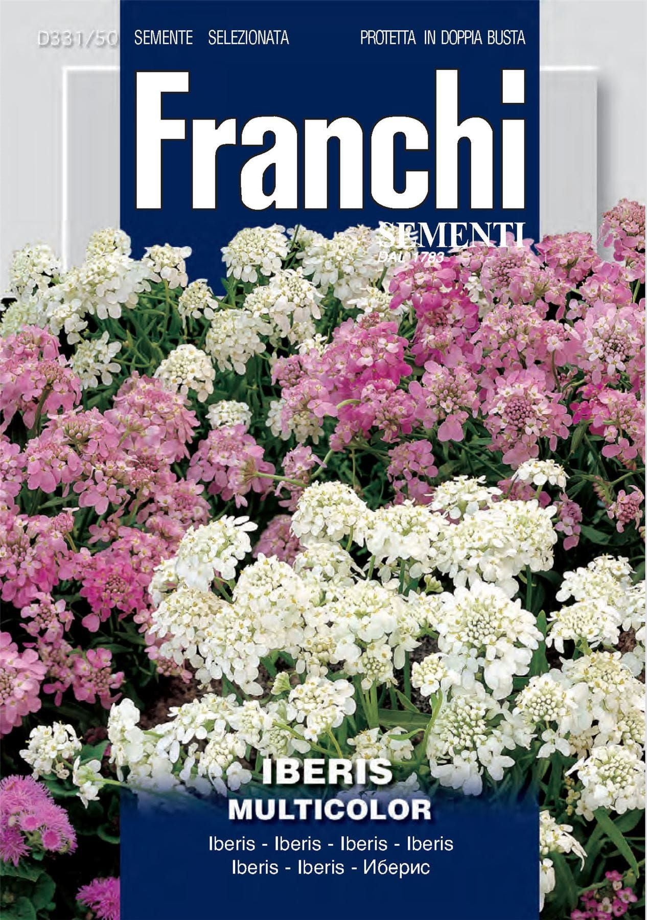 Franchi Seeds of Italy - Flower - FDBF_ 331-50 - Iberis multicolour - Candytuft - Seeds