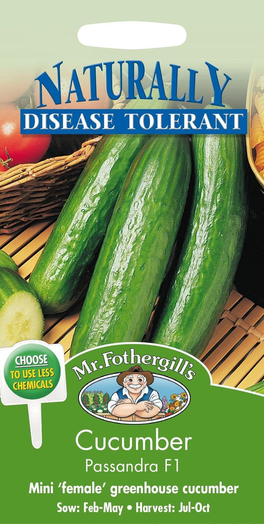 Mr Fothergills Cucumber Passandra F1 5 Seeds