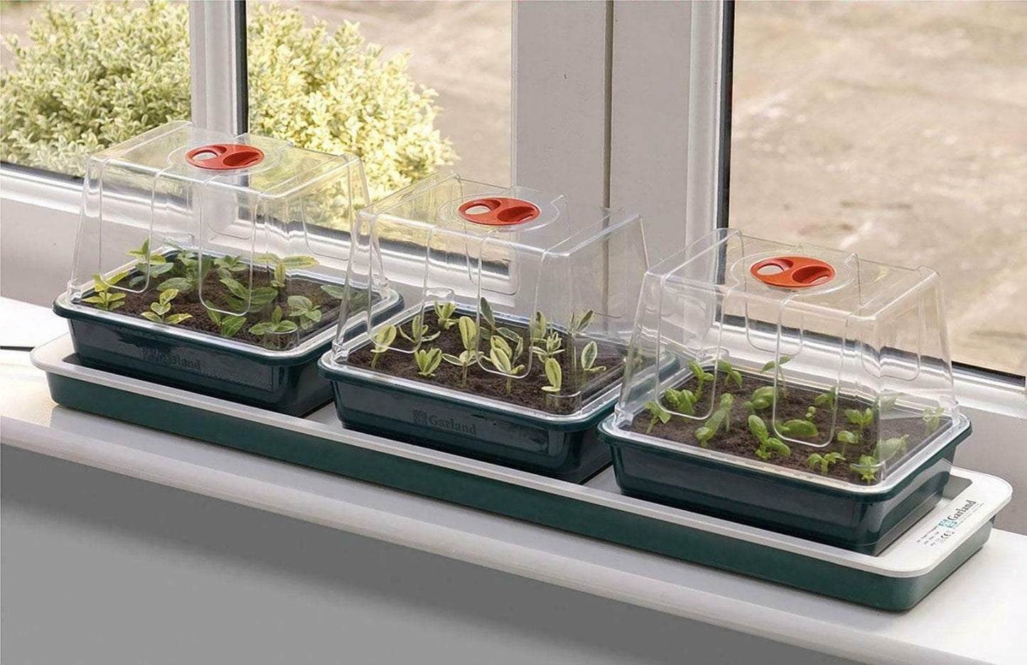 Garland Trio Top Electric Windowsill Seed Propagator 3 Trays G50