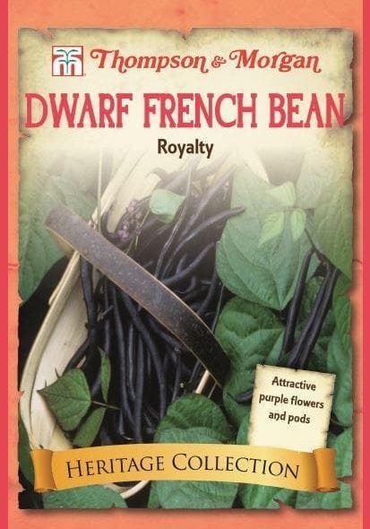 Thompson & Morgan Heritage Vegetables Dwarf Bean Royalty 100 Seed