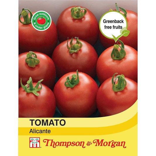 Thompson & Morgan Tomato Alicante 75 Seed